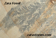 Fossil Pool Coping Stones